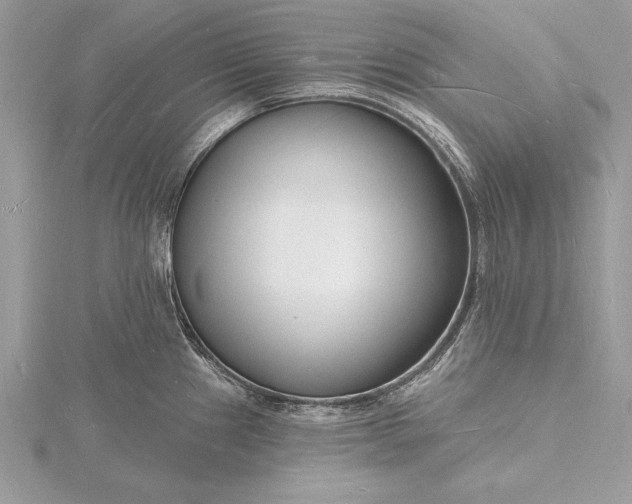 X0000116131241200912071216