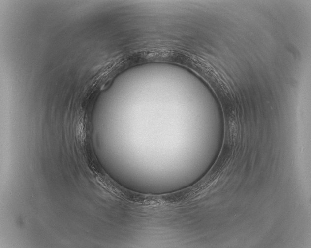 X0000116131250200912071215