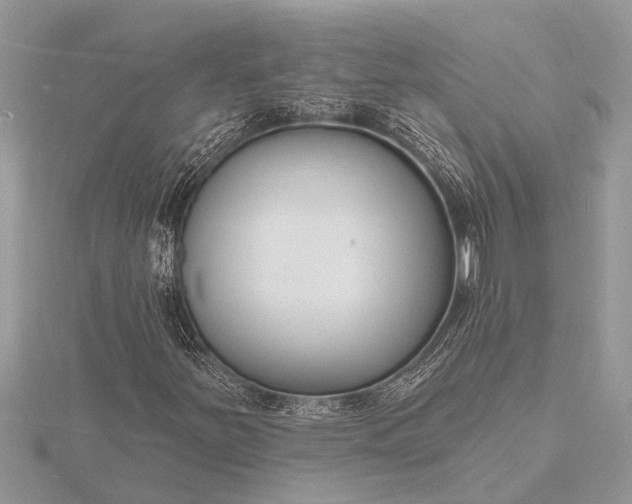 X0000116131251200912071215