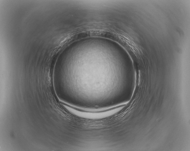 X0000116131252200912071215