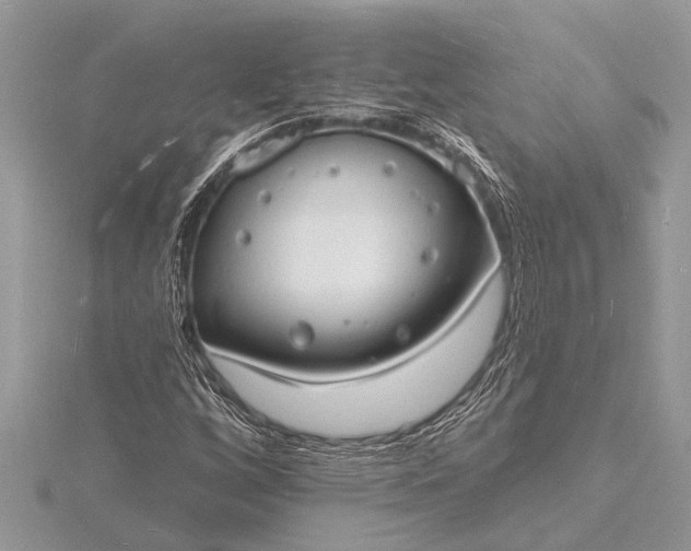 X0000116131256200912071215