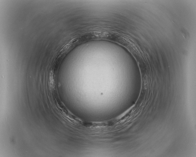 X0000116131298200912071214