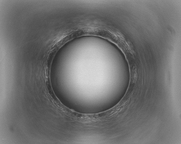 X0000116131301200912071214
