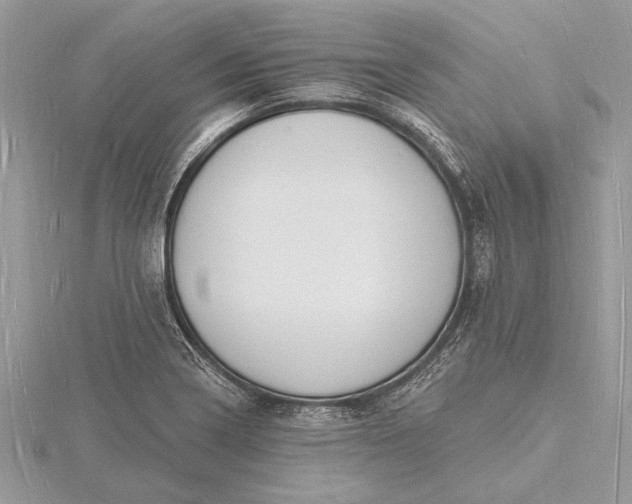 X0000116131322200912071214