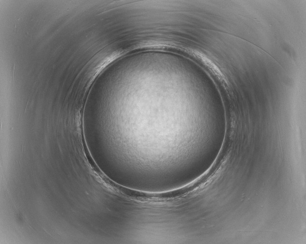X0000116131329200912071214
