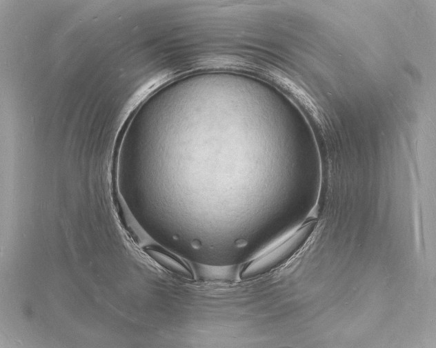 X0000116131330200912071215