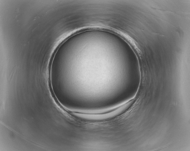 X0000116131335200912071215