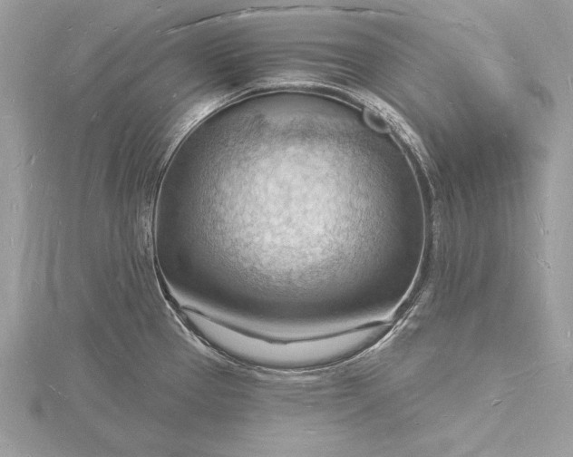 X0000116131337200912071215