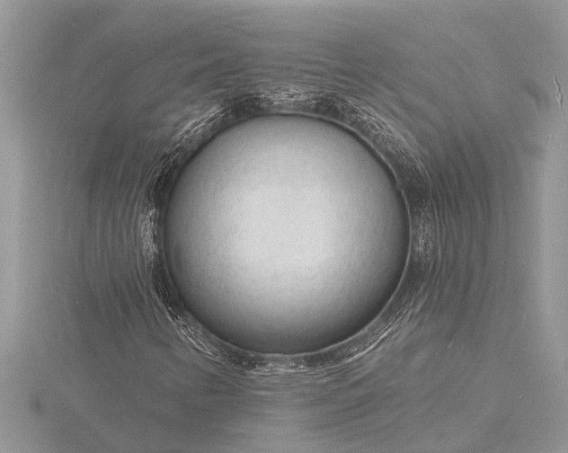 X0000116131346200912071214