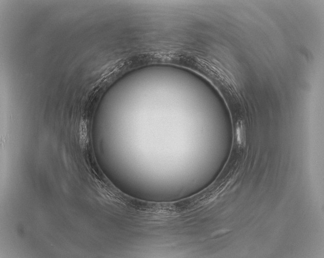 X0000116131347200912071214
