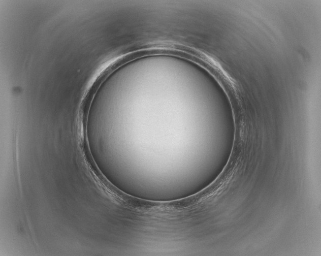 X0000116131368200912071214