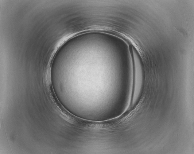 X0000116131371200912071214
