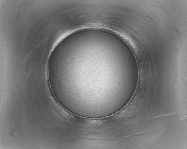 X0000116131382200912071214