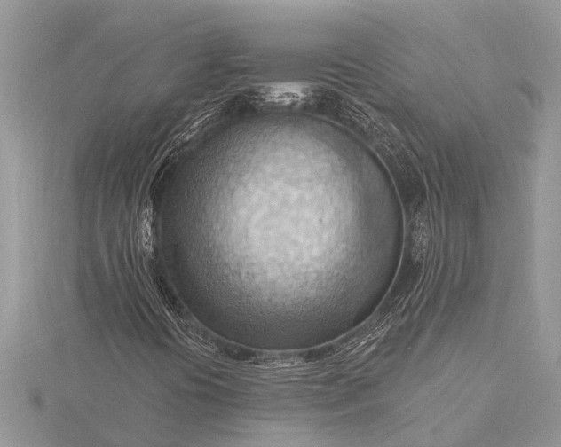 X0000116131394200912071213