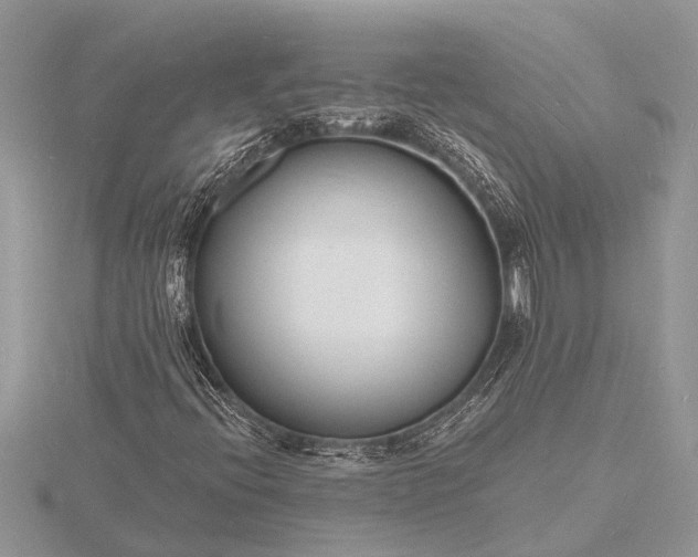 X0000116131396200912071213
