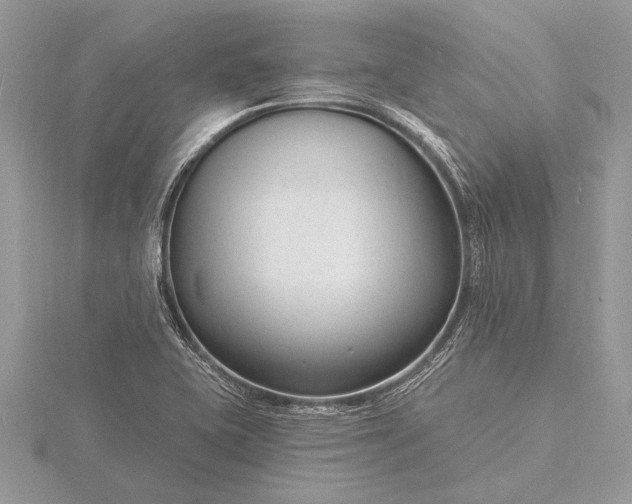 X0000116131415200912071213