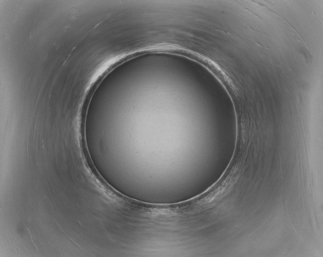 X0000116131422200912071213