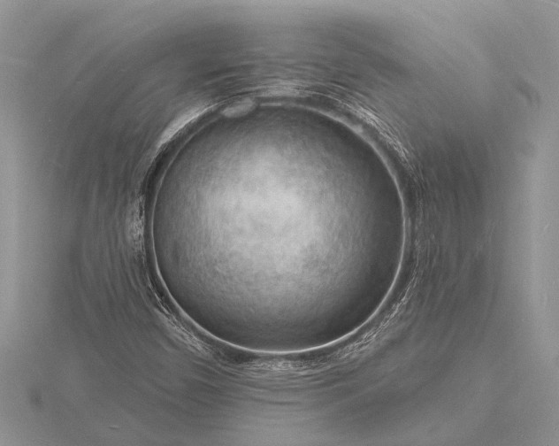 X0000116131450200912071213