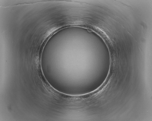 X0000116131457200912071212