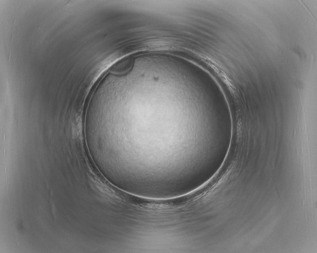 X0000116131465200912071212
