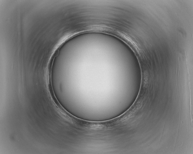 X0000116131467200912071212