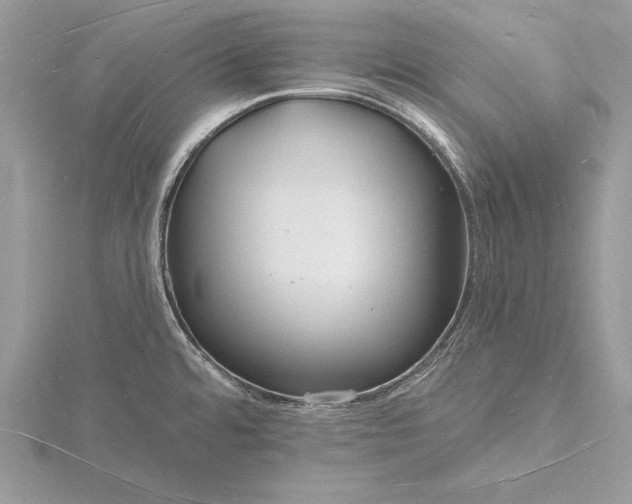 X0000116131480200912071212