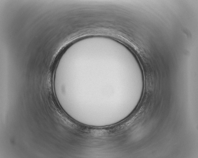 X0000116131498200912071212