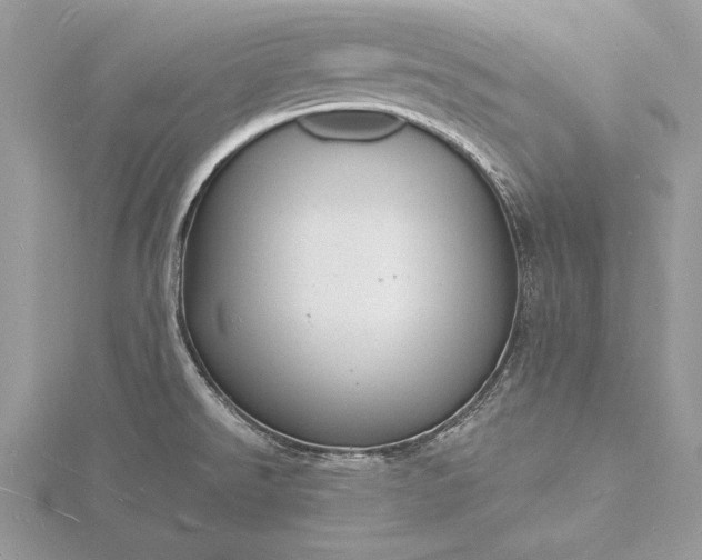 X0000116131526200912071212