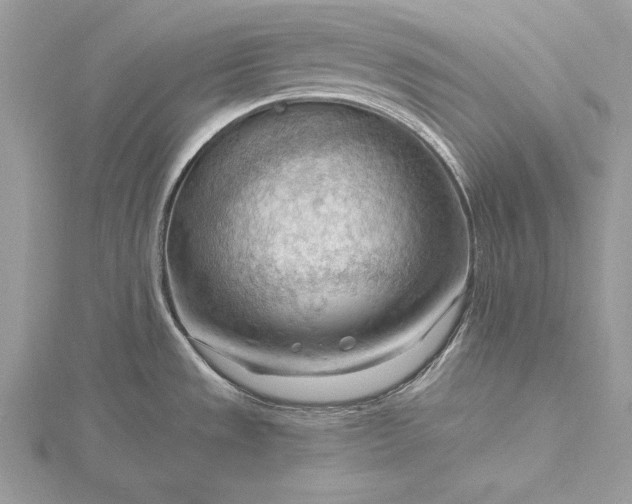 X0000116131533200912071212