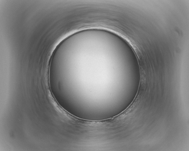 X0000116131534200912071212