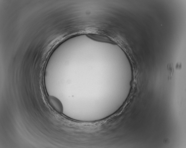 X0000116130001200912141120
