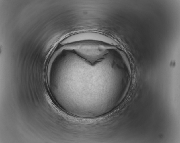 X0000116130002200912141120