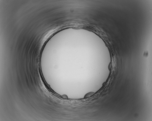 X0000116130003200912141120