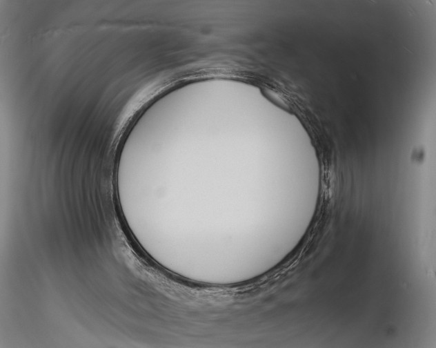 X0000116130004200912141120