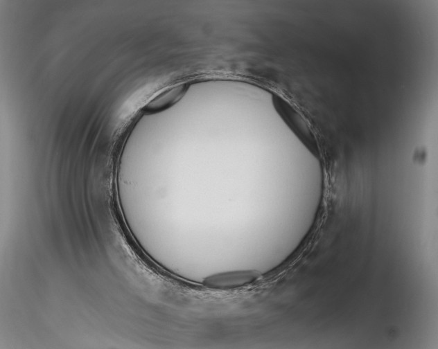 X0000116130005200912141120