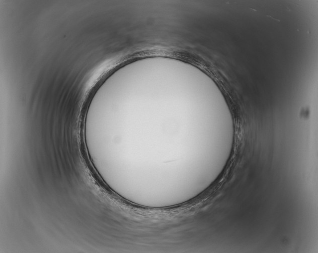 X0000116130006200912141120