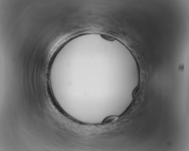 X0000116130007200912141120