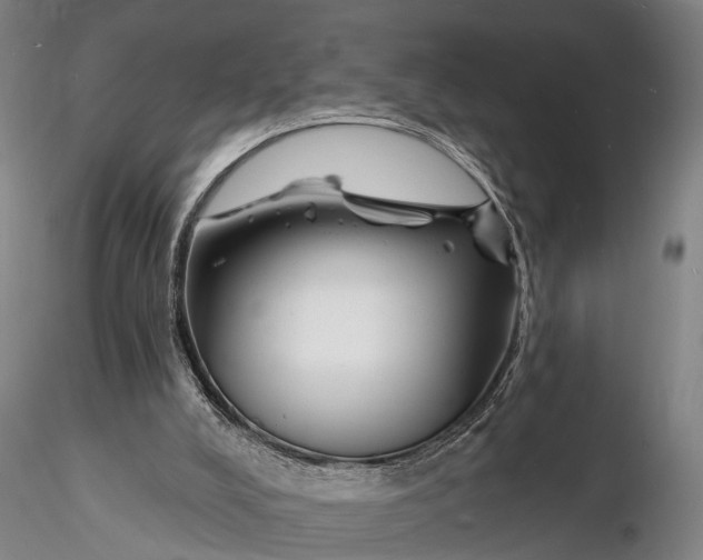 X0000116130008200912141120