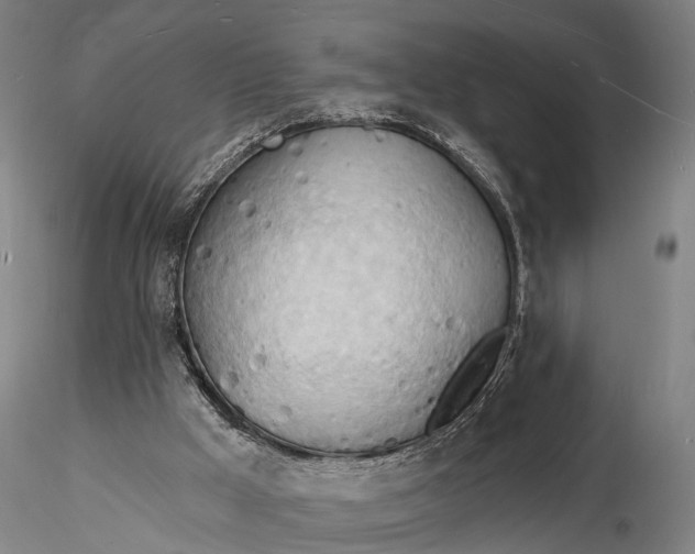 X0000116130009200912141120