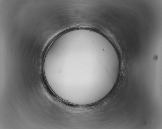 X0000116130012200912141120