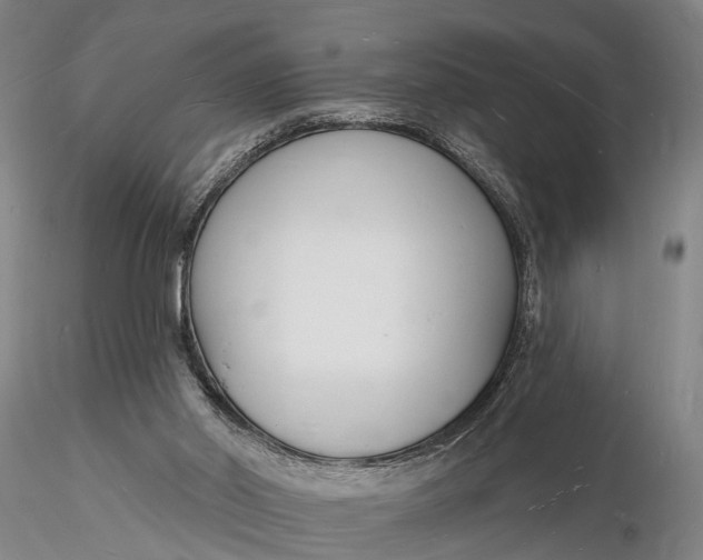 X0000116130014200912141120