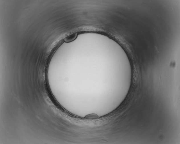 X0000116130015200912141120