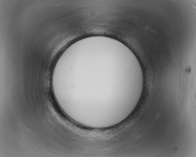 X0000116130016200912141120