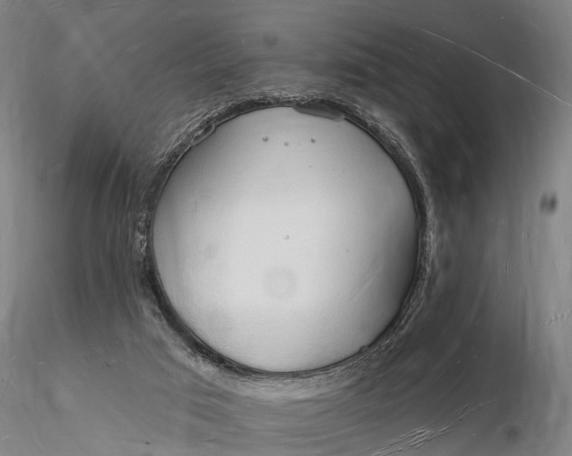 X0000116130017200912141120