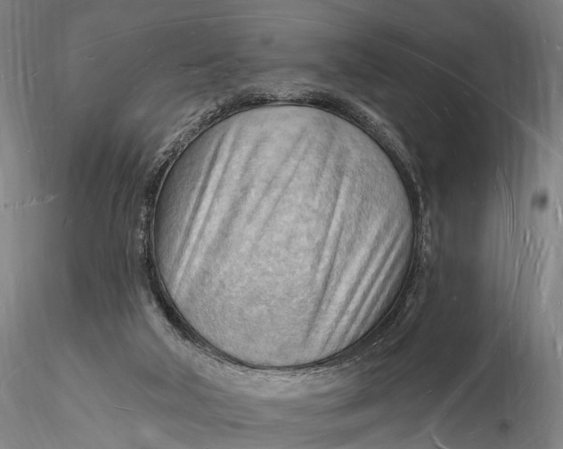 X0000116130018200912141120