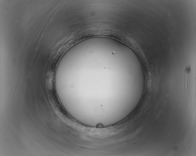 X0000116130026200912141120