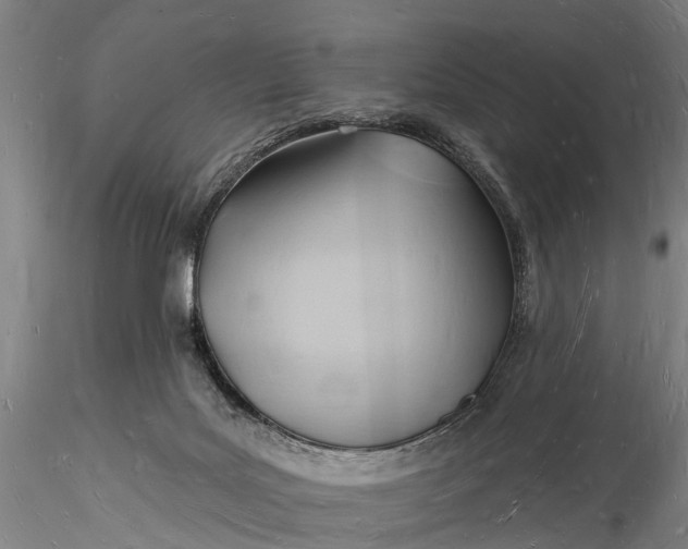 X0000116130027200912141120