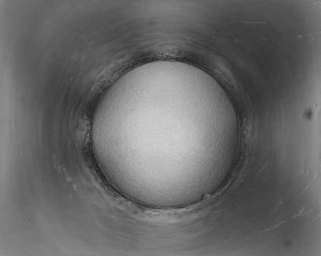 X0000116130029200912141120