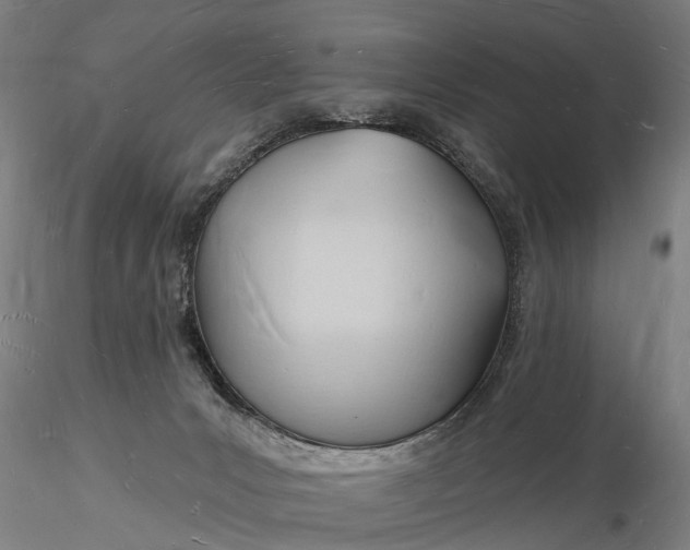 X0000116130031200912141120