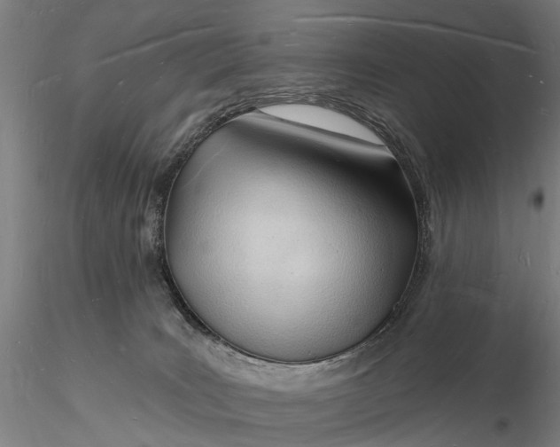 X0000116130035200912141120
